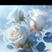 Abdullah Hani - Facebook