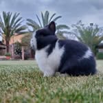 Abdullah Hani Aljohani 🔬🐇🥼 - @dody9012 - Instagram