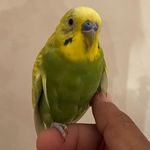 Abdullah Al-harbi - @the_red_line___ - Instagram