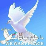 Abdullah Hashemi - @abdullah_hashemi2016 - Instagram