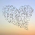Abdullah Haydar - @abdullah.h2010 - Instagram