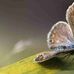 Heath Abdullah - Facebook