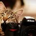 Abdullah Ijaz Photography - Facebook