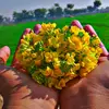 Abdullahijaz - @abdullahijaz035 - TikTok