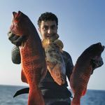 Abdullah Imam - @abdullah.y.imam - Instagram