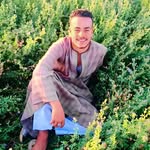Abdullah Ismael - @abdullahismael81 - Instagram