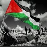 Abdullah Ismael - @abdullah.ismael.5437 - Instagram