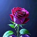 Ahmed Abu Abdullah Jaafarah - Facebook