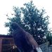 Jamal Abdullah - Facebook