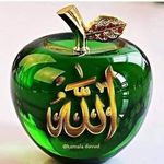 Abdullah Jamshaid - @abdullah.jamshaid.391 - Instagram