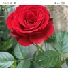 Abdullah John - @user1439291973039 - TikTok