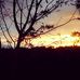 Ladang Abdullah Kadir.. - Facebook