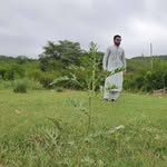 Abdullah Kakar - @abdullah__kakar - Instagram
