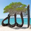 Abdullah Kakar - @abdullah.kakar314 - TikTok
