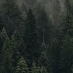 ABDULLAH KARACA - @abdullahkaraca008 - Instagram