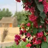 الجنوبي A - @abdullahkhal - TikTok