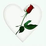 Abdullah Khaleel - @abdullah.khaleel.79 - Instagram