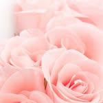 Abdullah Khawar - @abdullah.khawar.940 - Instagram