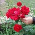 Abdullah Kiani - Facebook