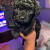user2211072140040 - @abdullahlewisurn9nk - TikTok