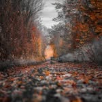 Abdullah Luqman - @abdullahluqman43 - Instagram