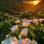 Abdullah Luqman - @abdullahluqman299 - Instagram