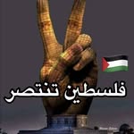 Abdullah MAALI - @maali2386 - Instagram