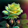Abdullah mamon - @abdullah.mamon6 - TikTok