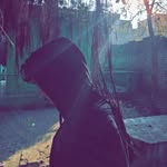 𝘼𝙗𝙙𝙪𝙡𝙡𝙖𝙝 𝙈𝙖𝙣𝙨𝙪𝙧 - @abdullah__mansur - Instagram