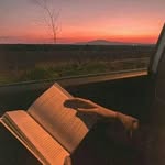 Abdullah Maroof - @abdullah.maroof - Instagram