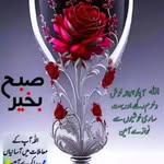 Abdullah Mateen - @abdullahmateen663 - Instagram