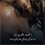 Abdullah Mayar Wardak - @abdullahmayarwardak - Instagram