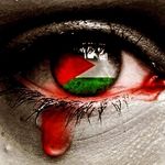Abdullah Mian - @abdullah_mian_102 - Instagram