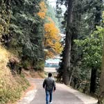 AbdulLah Nadeem - @unknown._.abdullah._19 - Instagram