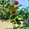 Abdullah Rayhan.... - @abdullah.rayhan96 - TikTok