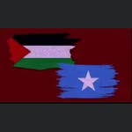 Abdullahi Abukar - @pass4lifedrivingschool1 - Instagram