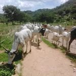 Abdulsalam Mohammad Inuwa - @inuwa.abdulsalam - Instagram