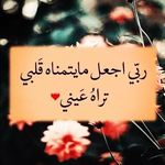 عبدالولي - @abdul_wali_ali - Instagram