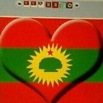 Abdulwasi Ibrahim - @abdulwasi.ibrahim.430 - Instagram