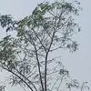 Abdur abdullah1223 - @abdur.abdullah122 - TikTok