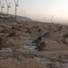 abdur.   raja - @abdulraheem2775 - TikTok