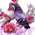 Abdur Rohim - Facebook