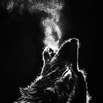 abdurasul karimov - @abdurasul2243 - Instagram