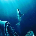 Abdurasul Karimov - @karimov_abdurasul_ - Instagram
