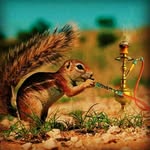Abdurrahim Abdullahi - @abdurrahimabdullahi7 - Instagram