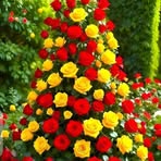 Abdurrahim Khan - Facebook