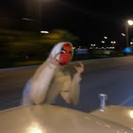 Abdus Saboor - @saboorgotbackwardticks - Instagram