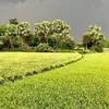 abdusshahid290 - @abdusshahid290 - TikTok