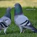 Abdussalam Ali - Facebook