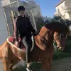 Abe Abdallah - @abe.abdallah5 - TikTok